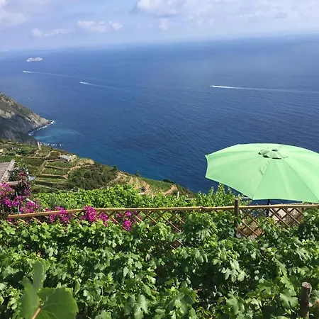 Refuge Uwabio Organic Vineyard Cinqueterre Riomaggiore
