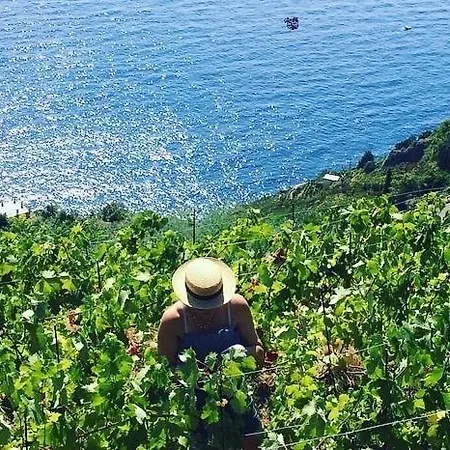 Refuge Uwabio Organic Vineyard Cinqueterre * Riomaggiore