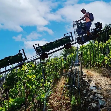 Refuge Uwabio Organic Vineyard Cinqueterre *