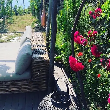 Villa Refuge Uwabio Organic Vineyard Cinqueterre *